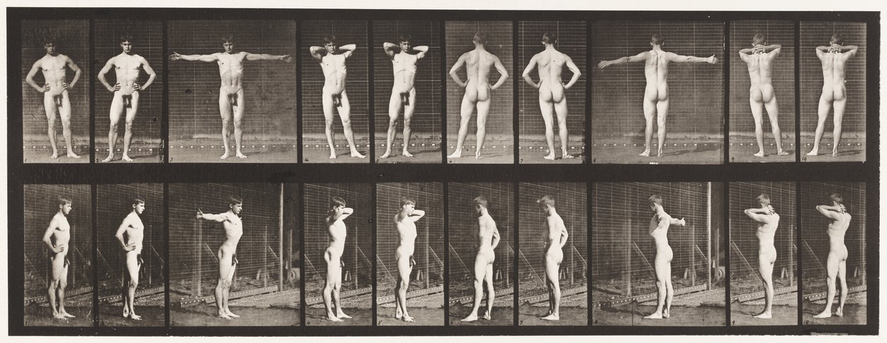 Placa 529. Varias Poses de Eadweard Muybridge