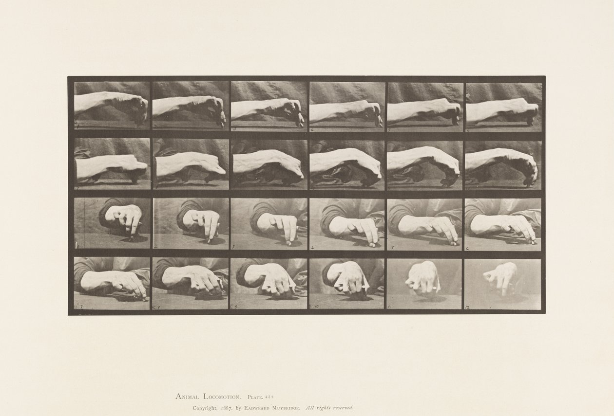 Placa 532. Movimiento de la mano; dibujando un círculo de Eadweard Muybridge