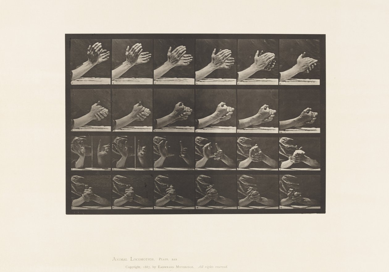 Placa 533. Movimiento de la mano; entrelazando las manos de Eadweard Muybridge