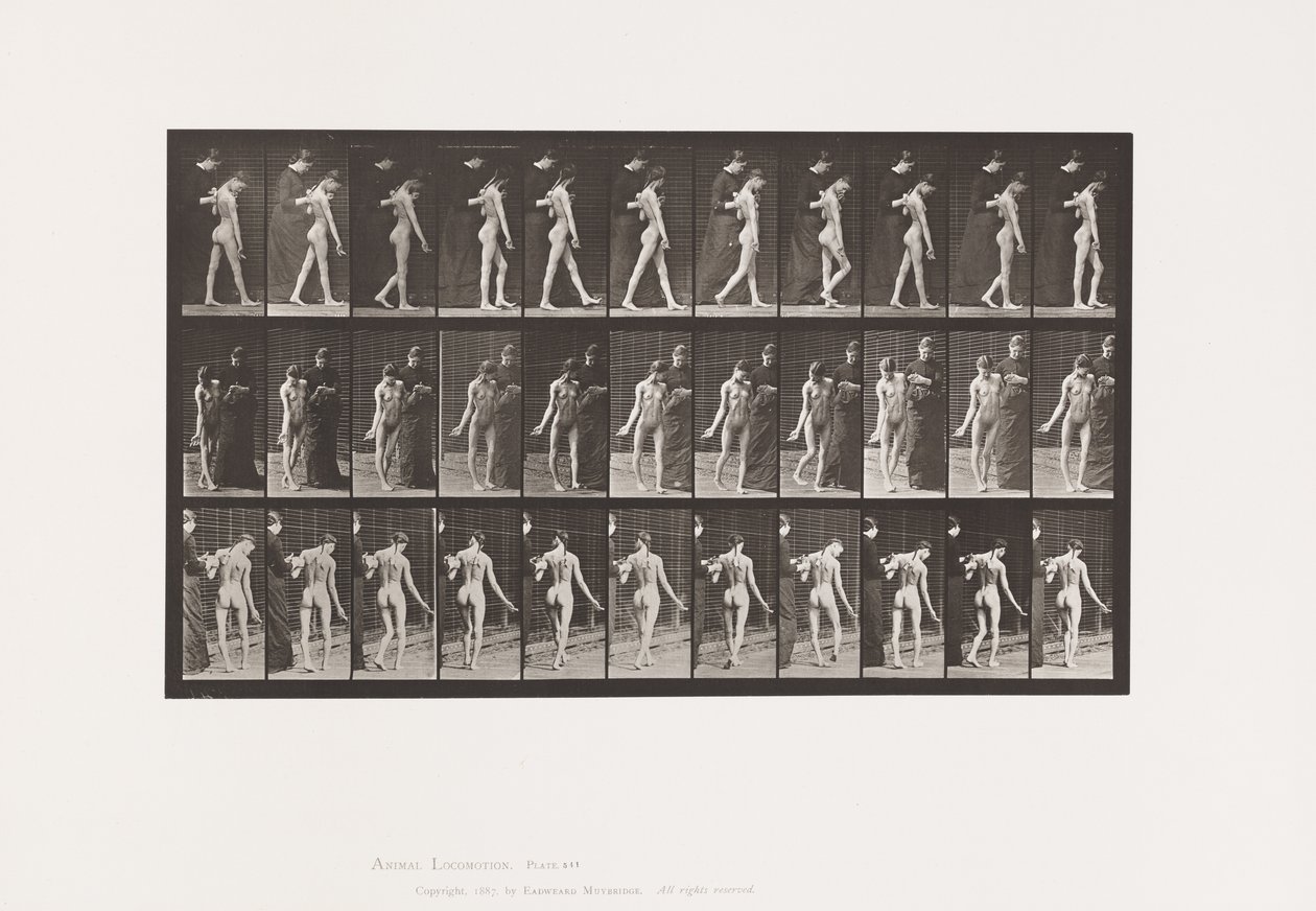 Placa 541. Esclerosis Cerebroespinal Múltiple (Coreica); Caminando de Eadweard Muybridge