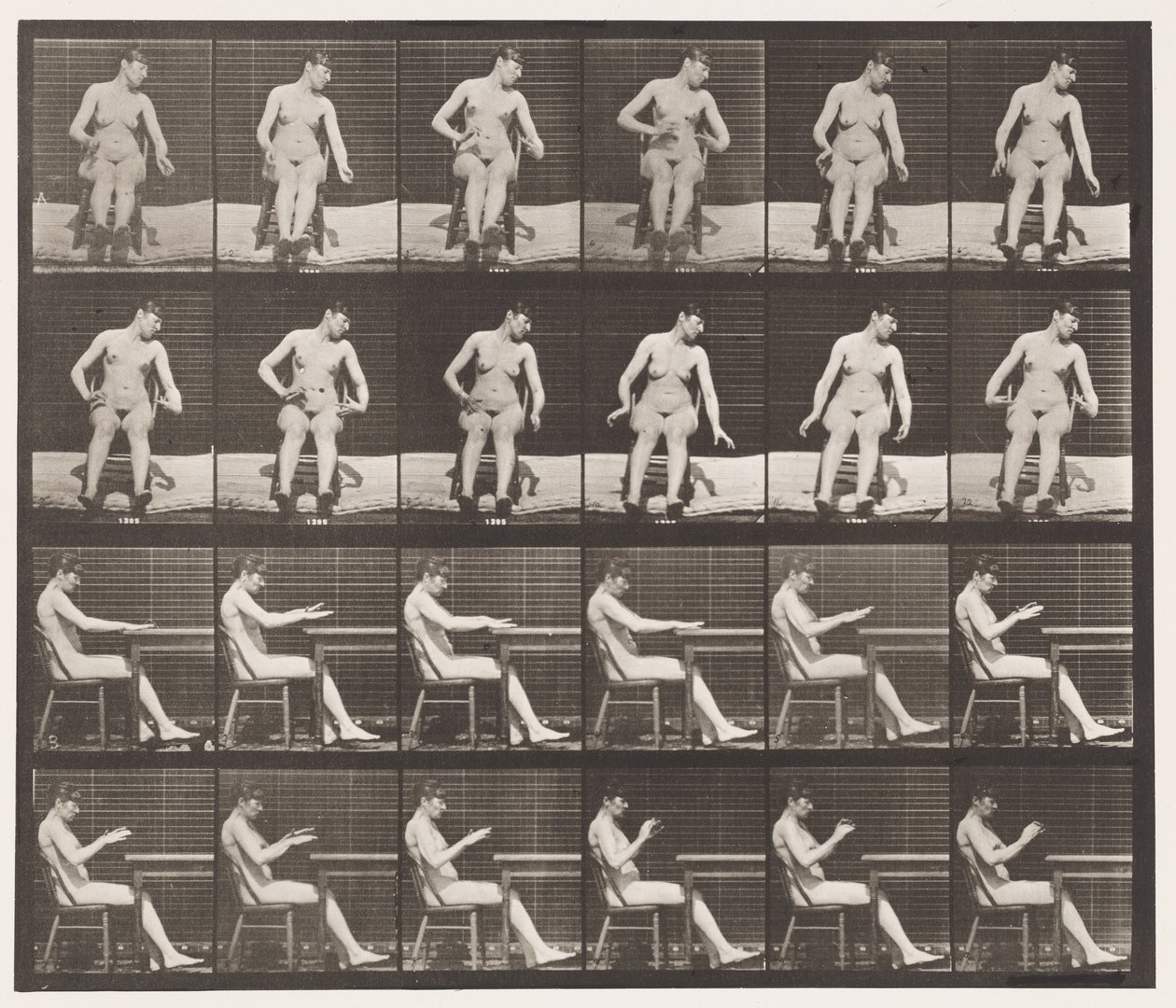Placa 545. Convulsiones inducidas artificialmente; A, B, Mientras está sentado de Eadweard Muybridge