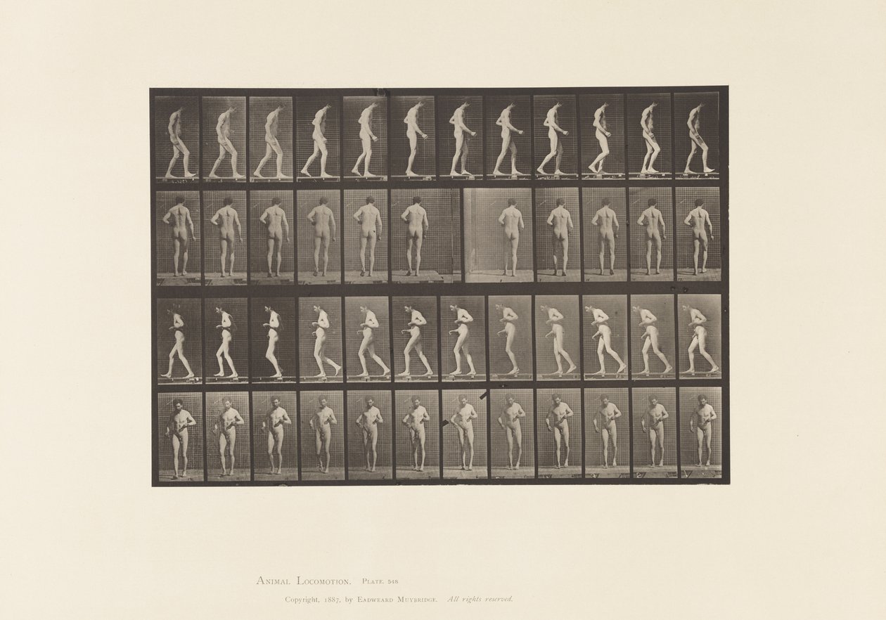 Placa 548. Esclerosis lateral; A, B, caminando de Eadweard Muybridge