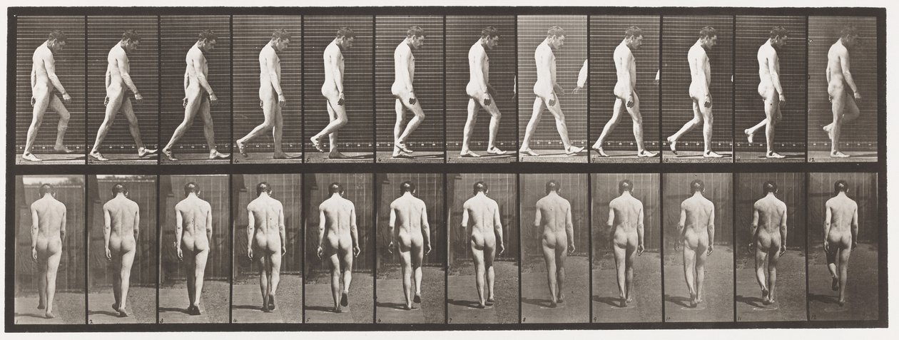 Placa 549. Epilepsia; Caminando, 1885 de Eadweard Muybridge