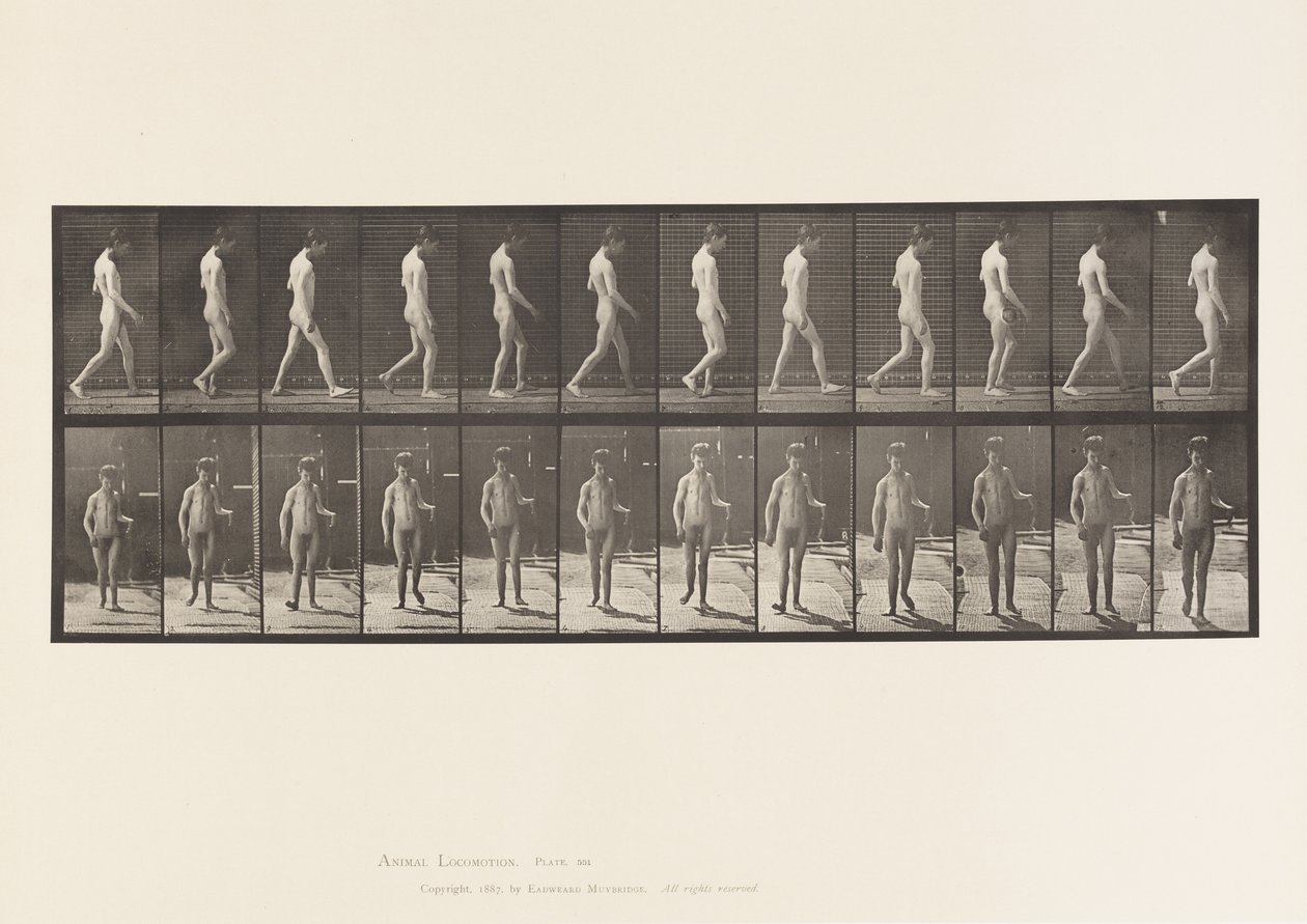 Placa 551. Epilepsia; Caminando, 1885 de Eadweard Muybridge