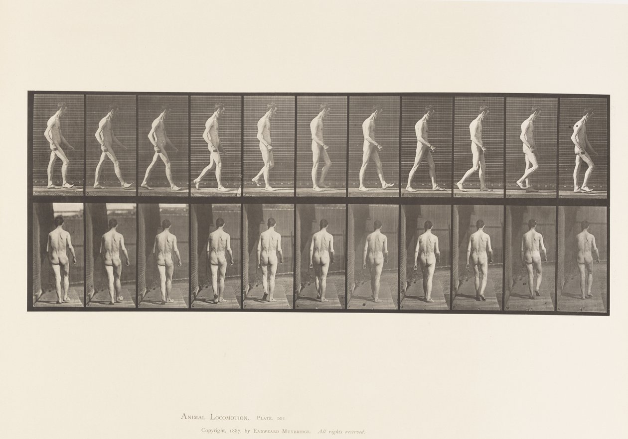 Placa 554. Ataxia Locomotora; Caminando, 1885 de Eadweard Muybridge