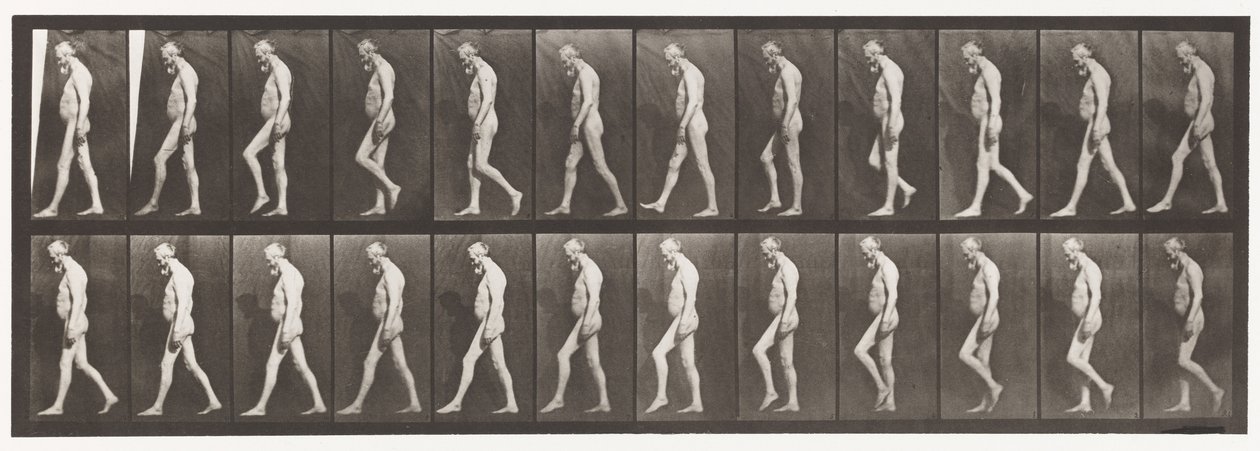 Placa 555. Atrofia muscular de las piernas; adulto, A,B, caminando, 1885 de Eadweard Muybridge