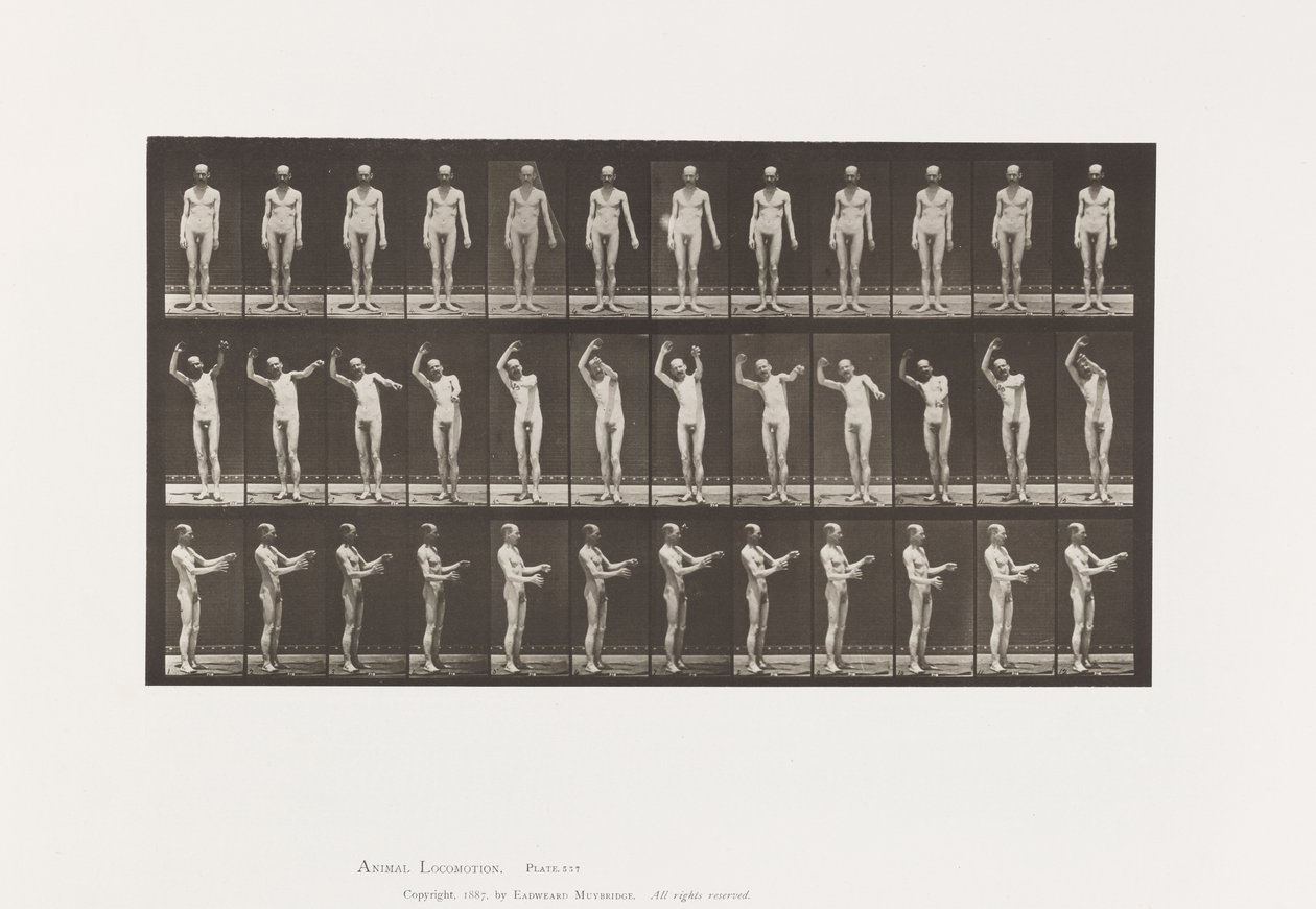Placa 557. Corea local; A, B, C, mientras está de pie de Eadweard Muybridge