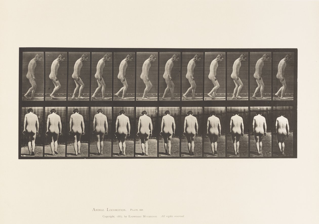 Placa 558. Paraplejía; parcial; caminando, 1885 de Eadweard Muybridge