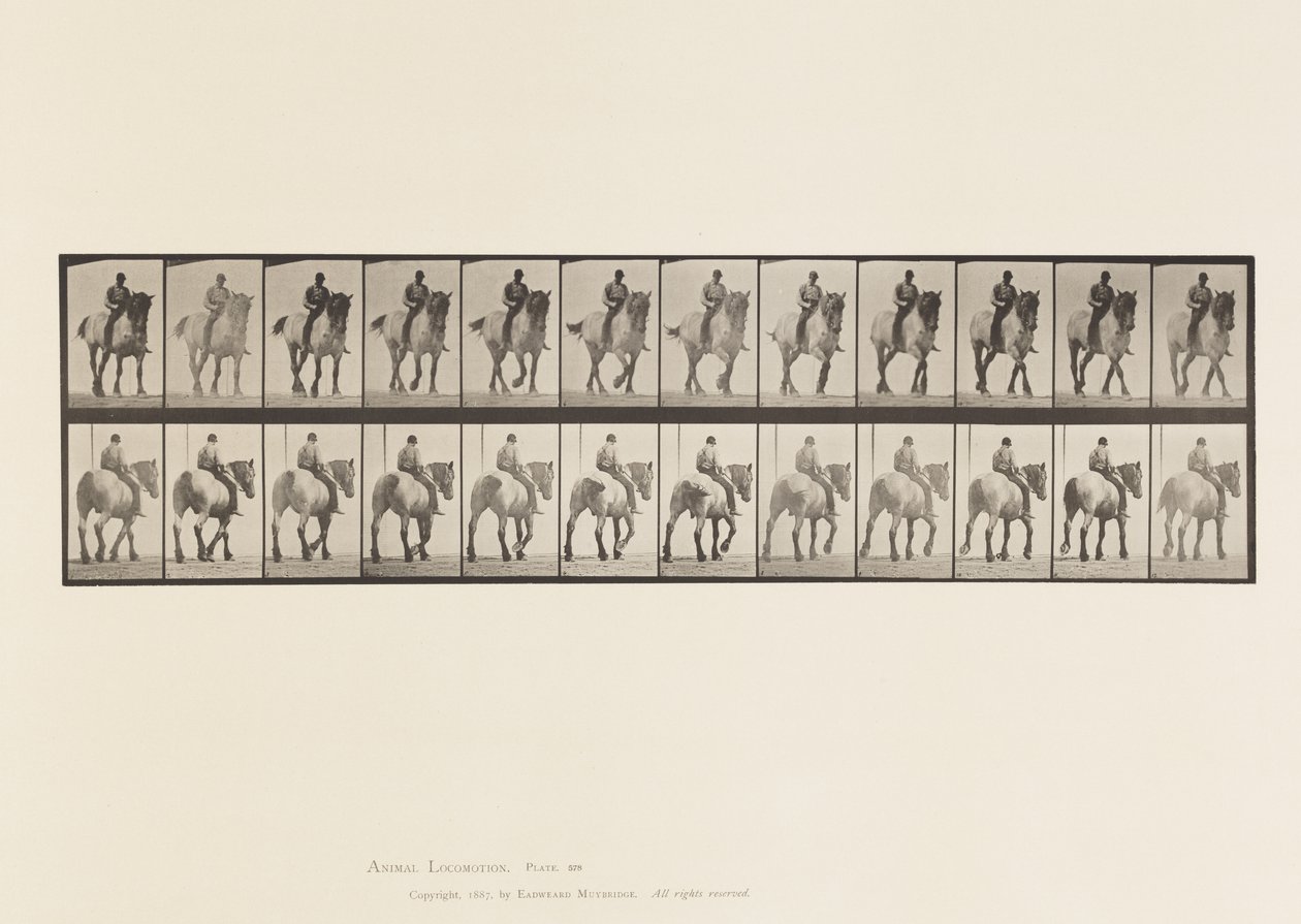 Placa 578. Caminando; Sin Silla; Caballo Belga Gris Oscuro Dusel de Eadweard Muybridge