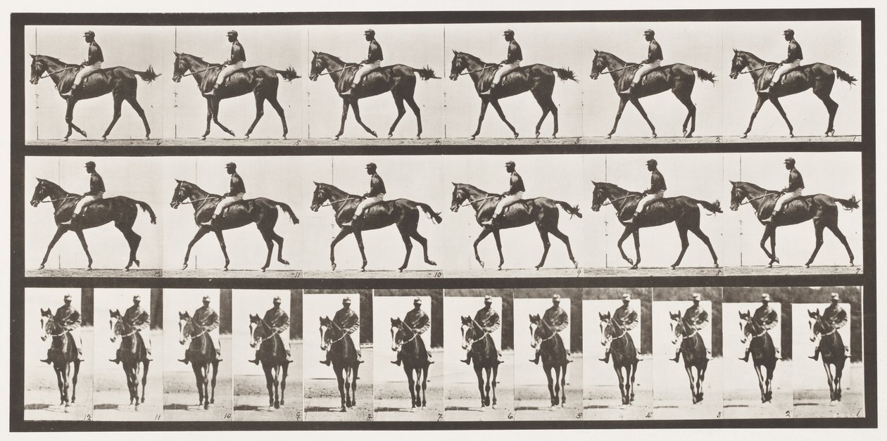Placa 580. Caminando; silla; yegua pura sangre bayo Annie G., 1885 de Eadweard Muybridge