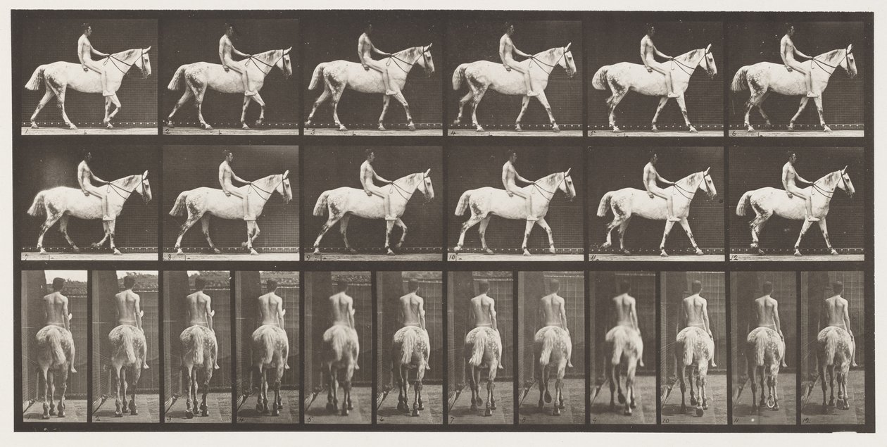 Placa 581. Caminando; a pelo; jinete, 43, desnudo; caballo gris claro Smith, 1885 de Eadweard Muybridge