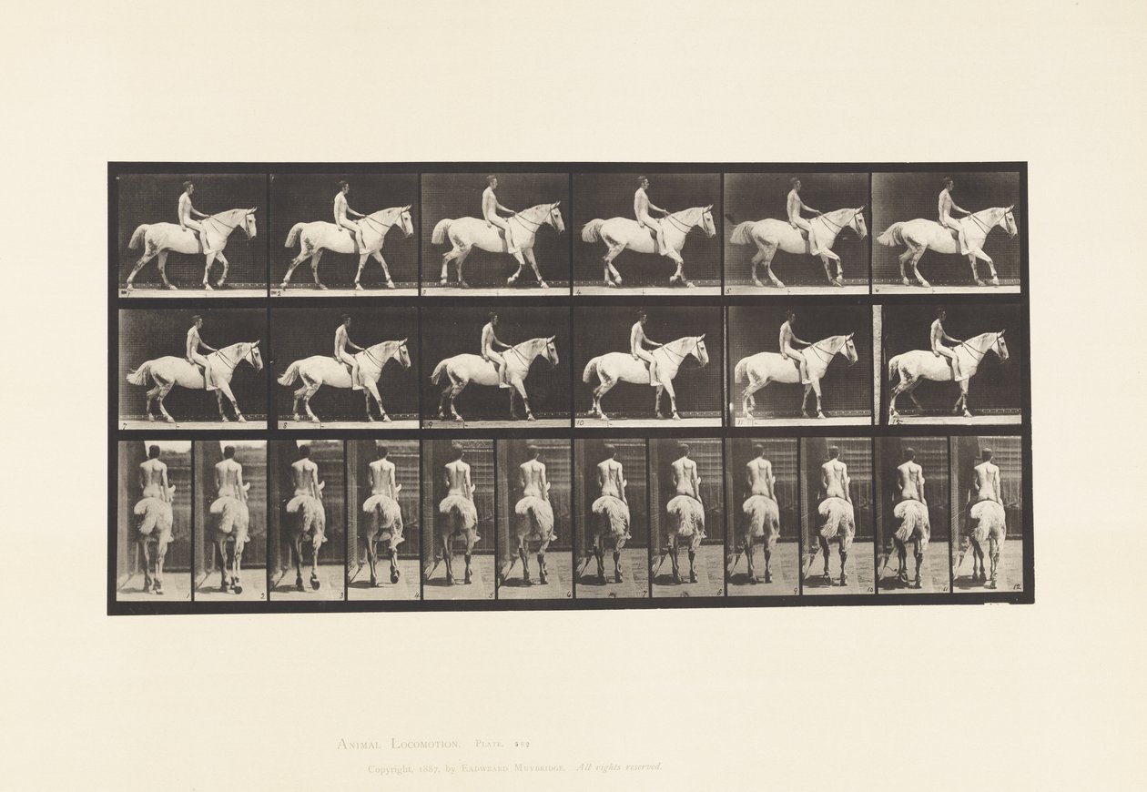 Placa 582. Caminando; Silla; Jinete Desnudo; Caballo Gris Claro Smith de Eadweard Muybridge