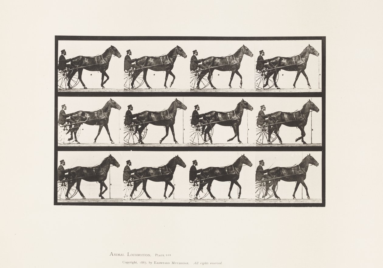 Placa 588. Caminando; sulky; caballo bayo Reuben de Eadweard Muybridge