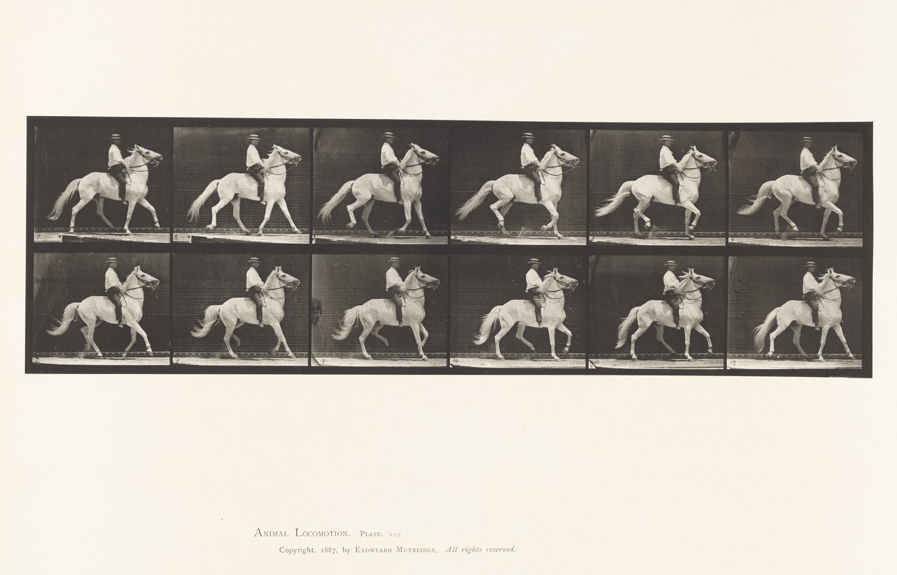 Placa 589. Amblando de Eadweard Muybridge