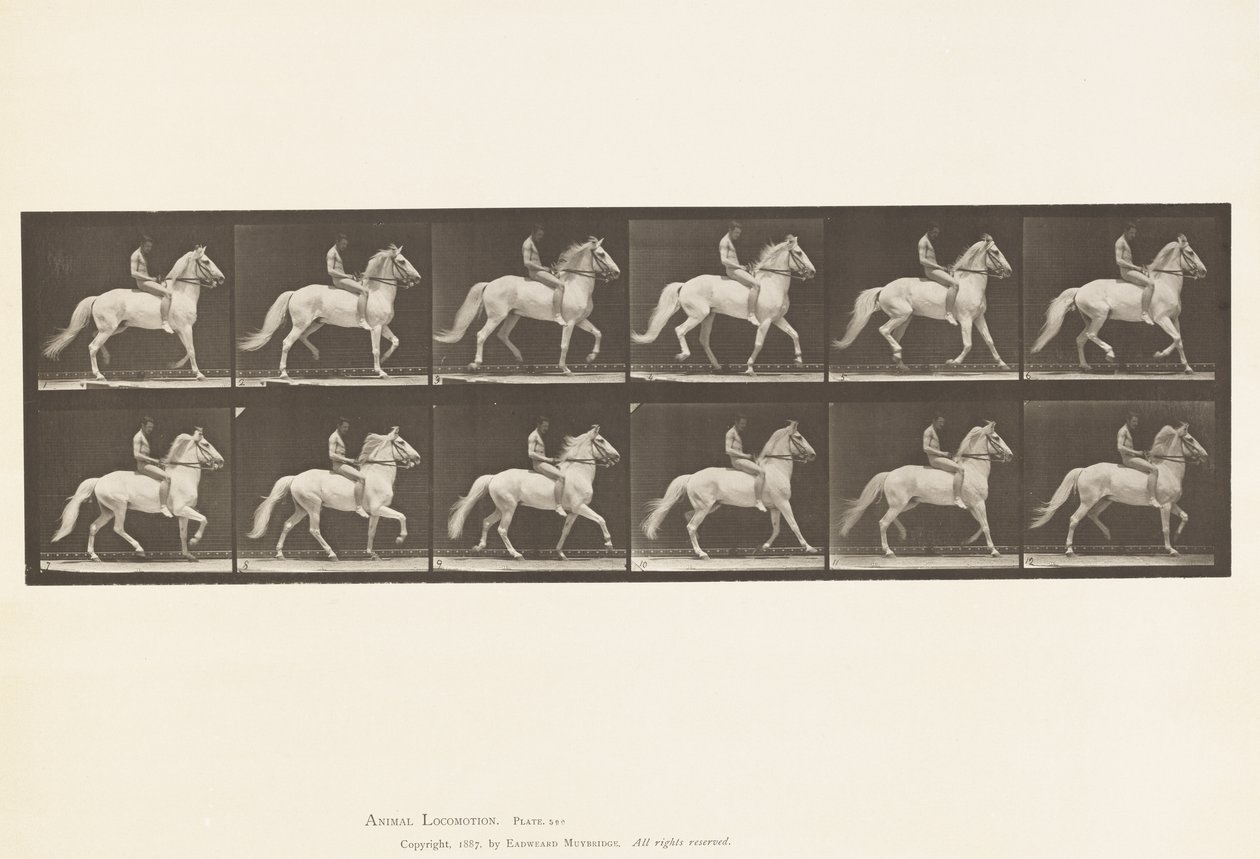 Placa 590. Ambling de Eadweard Muybridge