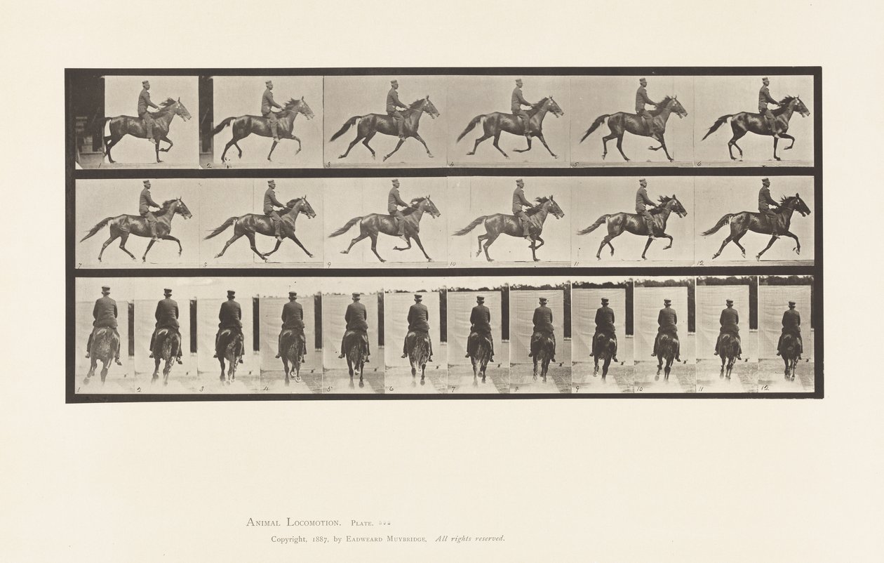 Placa 592. Paso de Andar; Silla; Caballo Marrón Pronto de Eadweard Muybridge