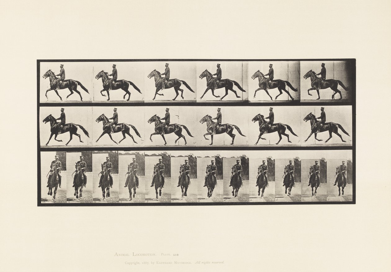 Placa 593. Paso de Andar; Silla; Caballo Marrón Pronto de Eadweard Muybridge