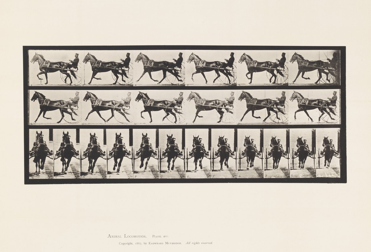 Placa 595. Balanceo (Paso): Sulky; Caballo marrón Pronto de Eadweard Muybridge