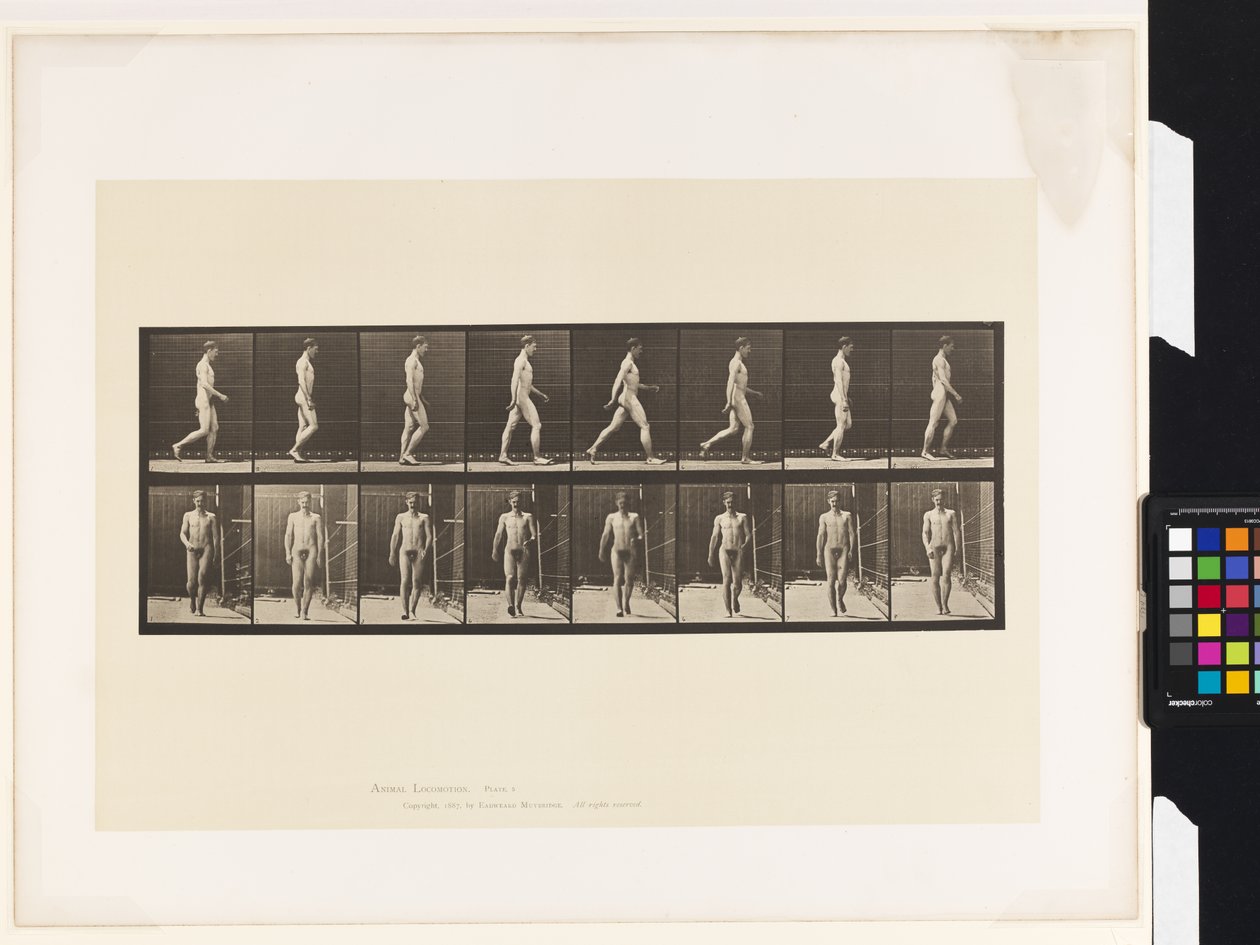 Placa 5. Caminando de Eadweard Muybridge