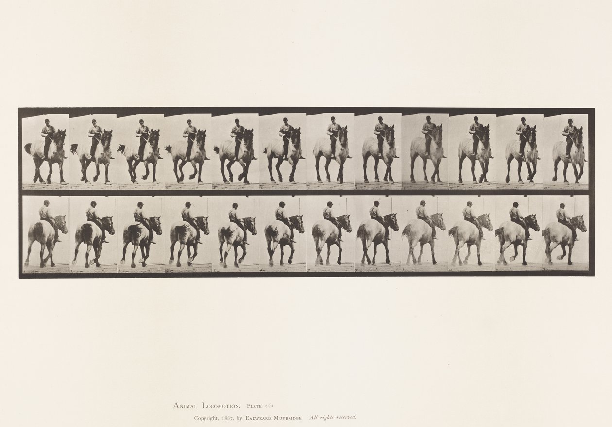 Placa 600. Trote; A pelo; Gris oscuro Dusel de Eadweard Muybridge