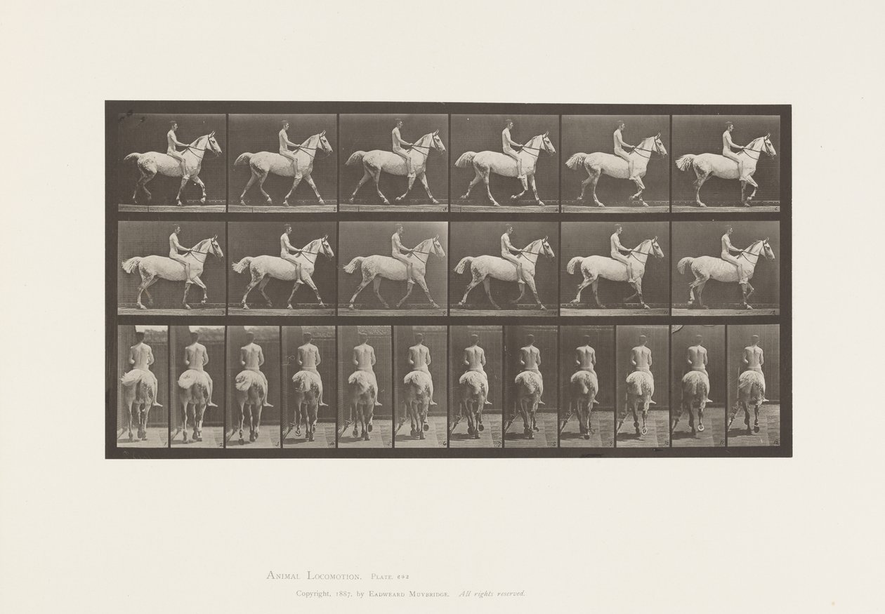 Placa 602. Trotting; Bareback; Jinete, 43, Desnudo; Caballo gris claro Smith, 1885 de Eadweard Muybridge