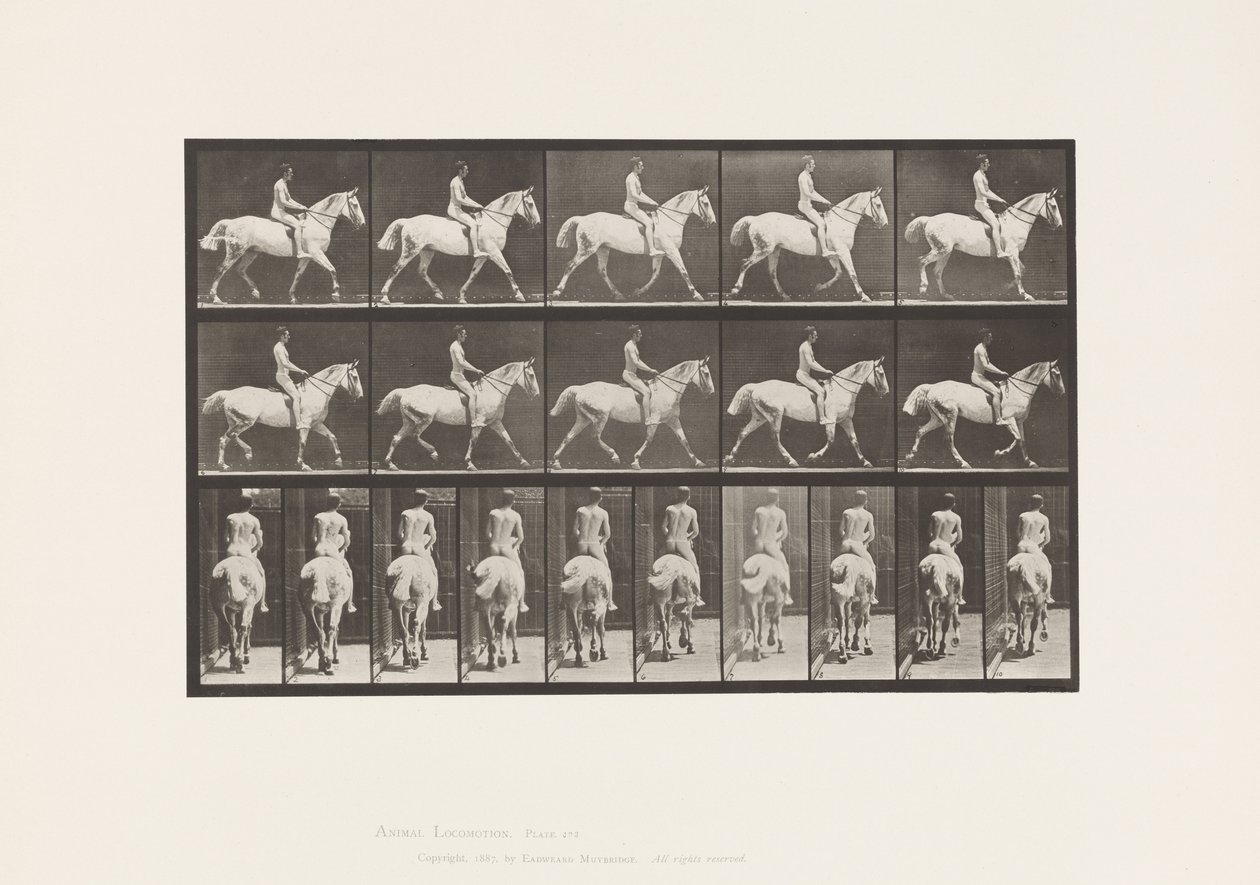 Placa 603. Trote; Silla; Caballo Gris Claro Smith de Eadweard Muybridge