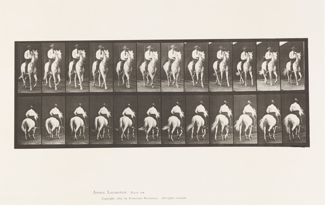 Placa 604. Trote; Silla; Caballo Blanco, Elberon de Eadweard Muybridge