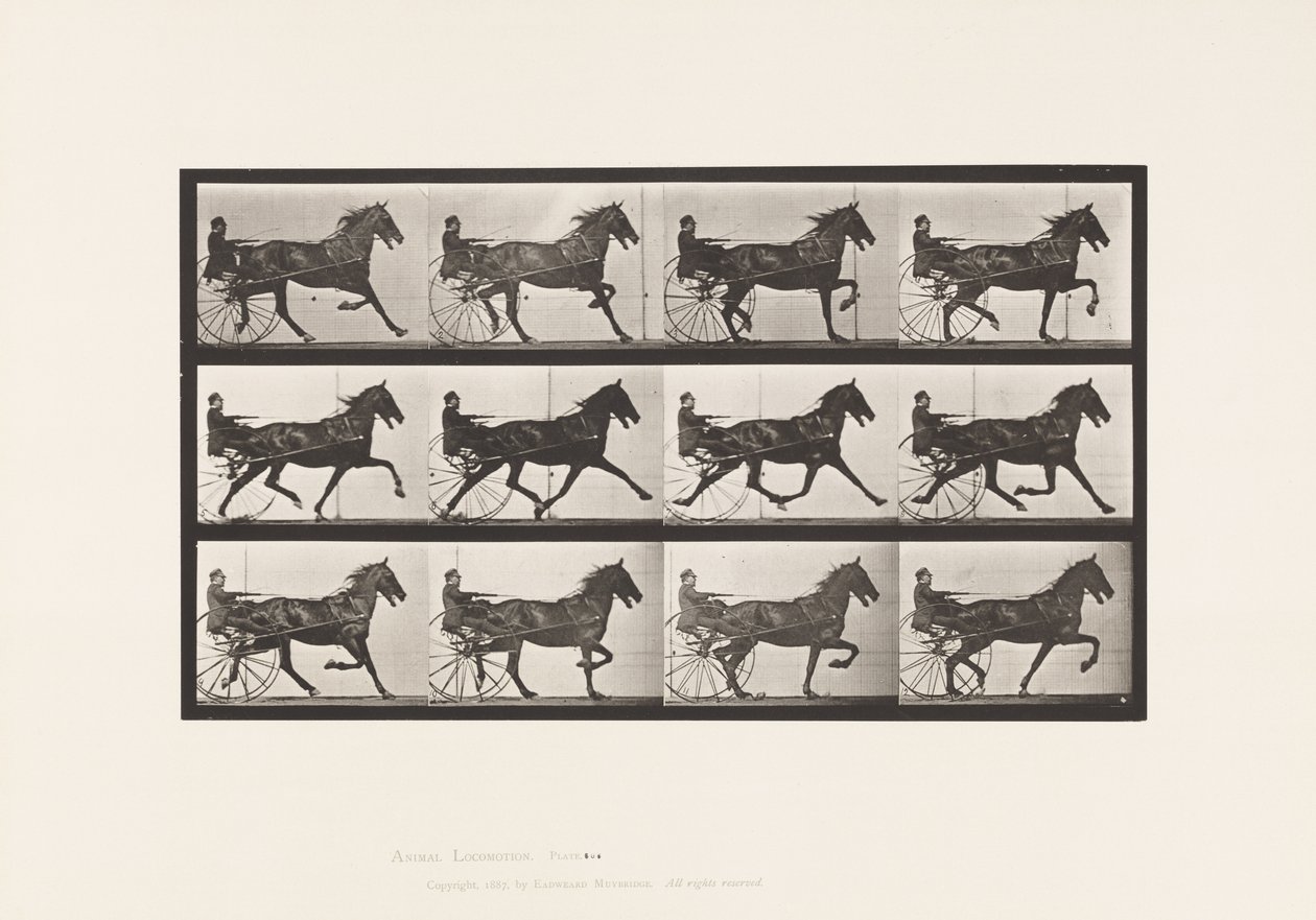 Placa 606. Trote; Sulky; Caballo Alazán, Reuben de Eadweard Muybridge