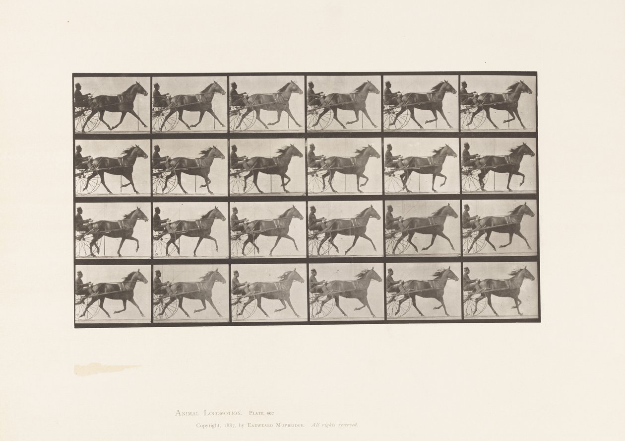Placa 607. Trote; Sulky; Yegua baya, Lizzie M. de Eadweard Muybridge