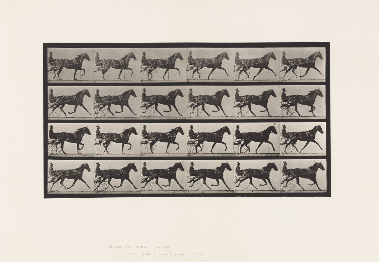 Placa 608. Trote; Sulky; Yegua Alazana, Flode Holden de Eadweard Muybridge