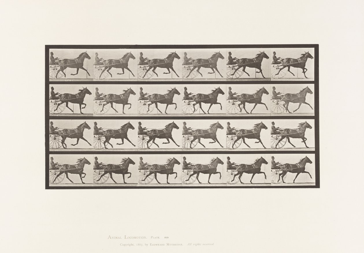 Placa 609. Trote; Sulky; Yegua Alazana, Lizzie M. de Eadweard Muybridge