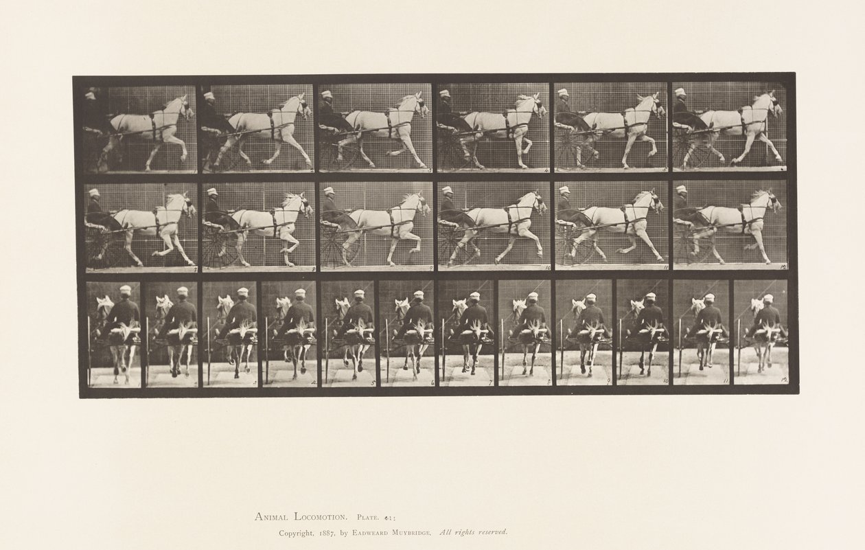 Placa 611. Trote; Sulky; Yegua Gris, Katydid de Eadweard Muybridge