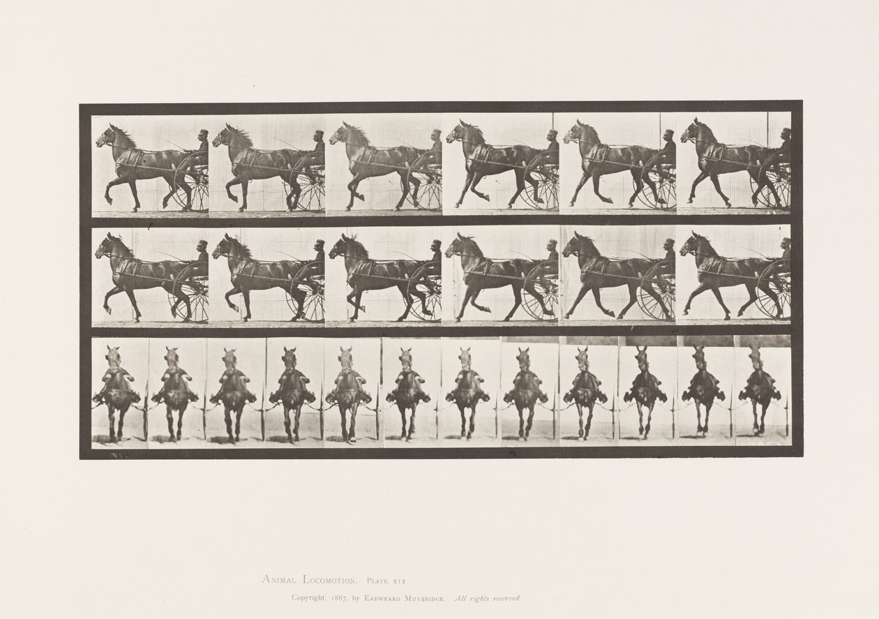 Placa 612. Trote; Sulky; Caballo Alazán, Dereumd de Eadweard Muybridge