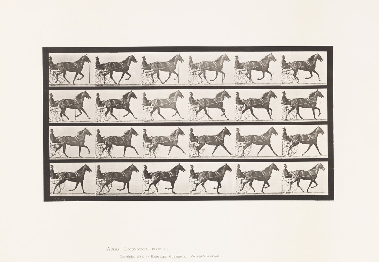 Placa 614. Trote; Rompiendo a Galope; Yegua Alazán Flode Holden de Eadweard Muybridge