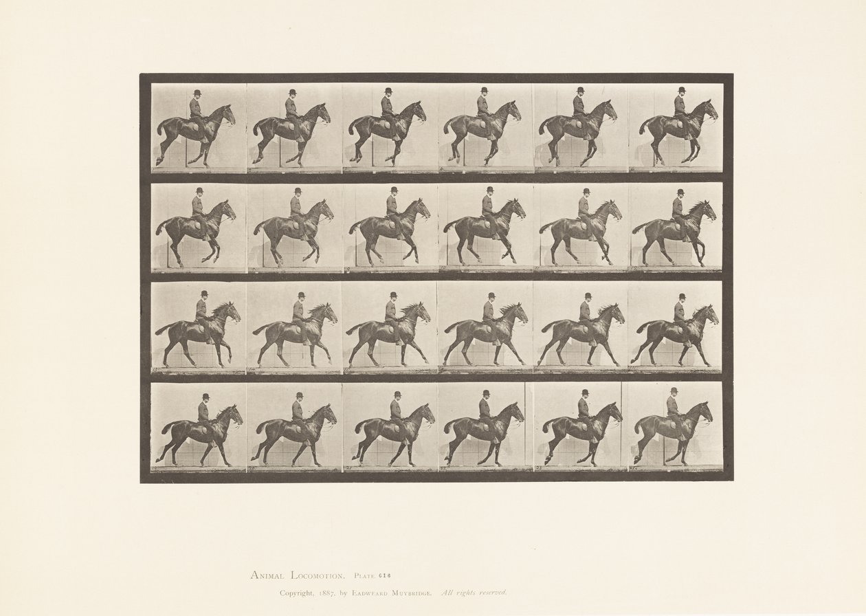 Placa 616. Medio Galope; Silla; Caballo Alazán Daisy de Eadweard Muybridge