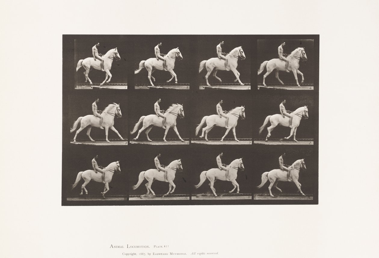 Placa 617. Galope; Sin silla; Jinete, 106, Desnudo; Caballo blanco Clinton, 1885 de Eadweard Muybridge