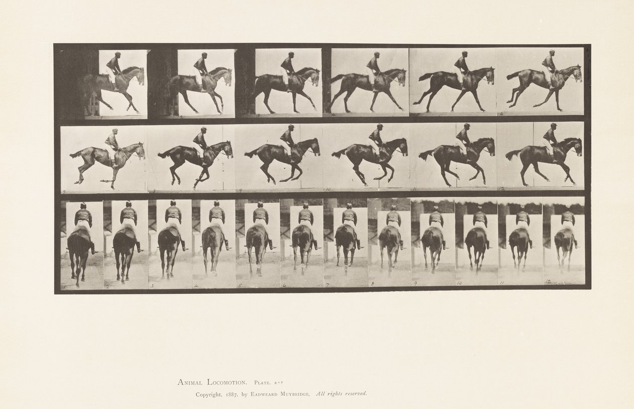 Placa 620. Medio Galope; Silla; Yegua Alazana Pura Sangre Annie 6 de Eadweard Muybridge