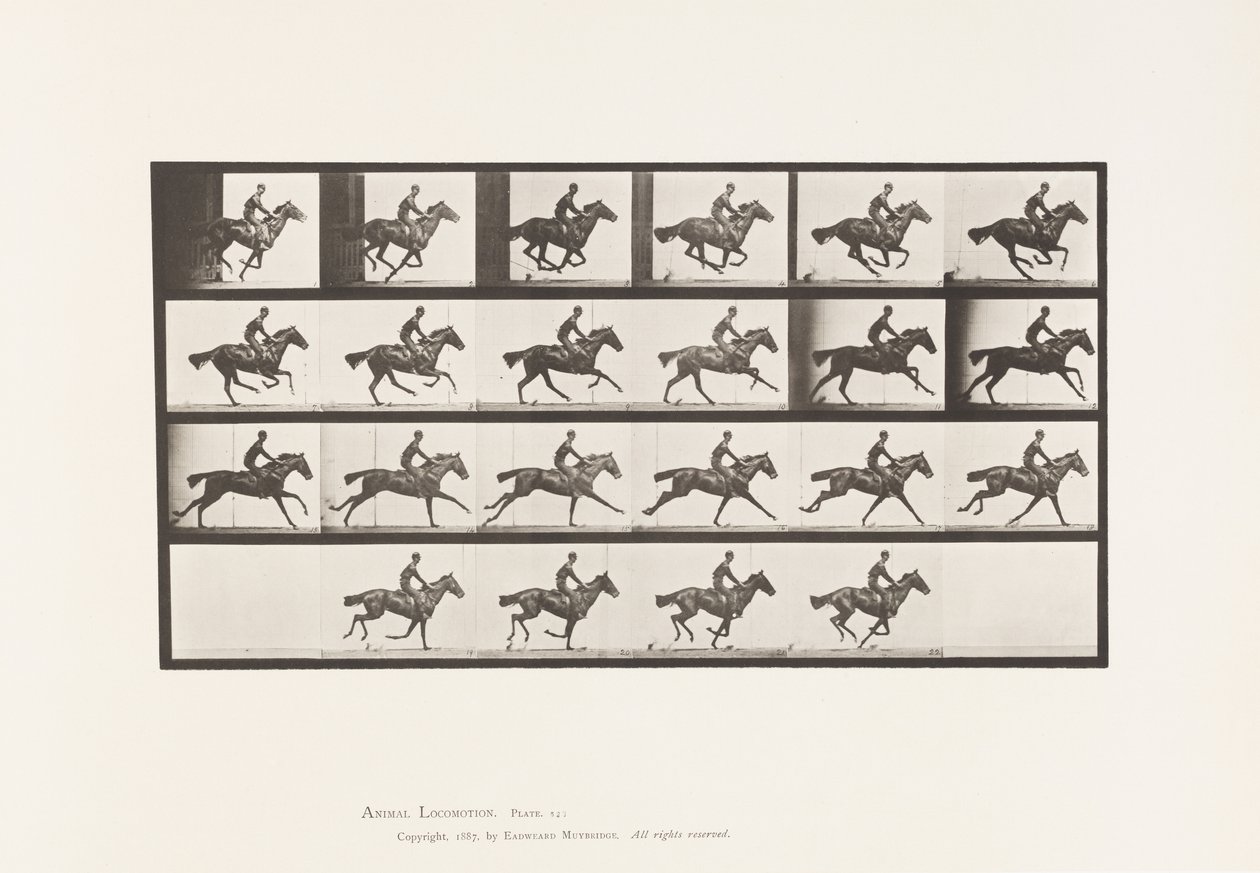 Placa 625. Galope; Caballo Alazán Pura Sangre Bouquet de Eadweard Muybridge