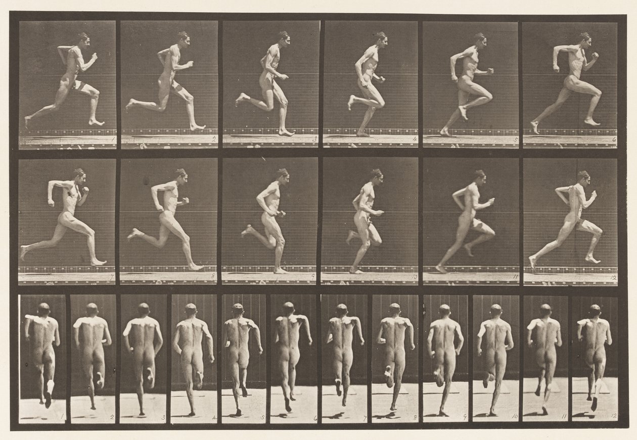 Placa 62. Corriendo a toda velocidad, 1872-1885 de Eadweard Muybridge