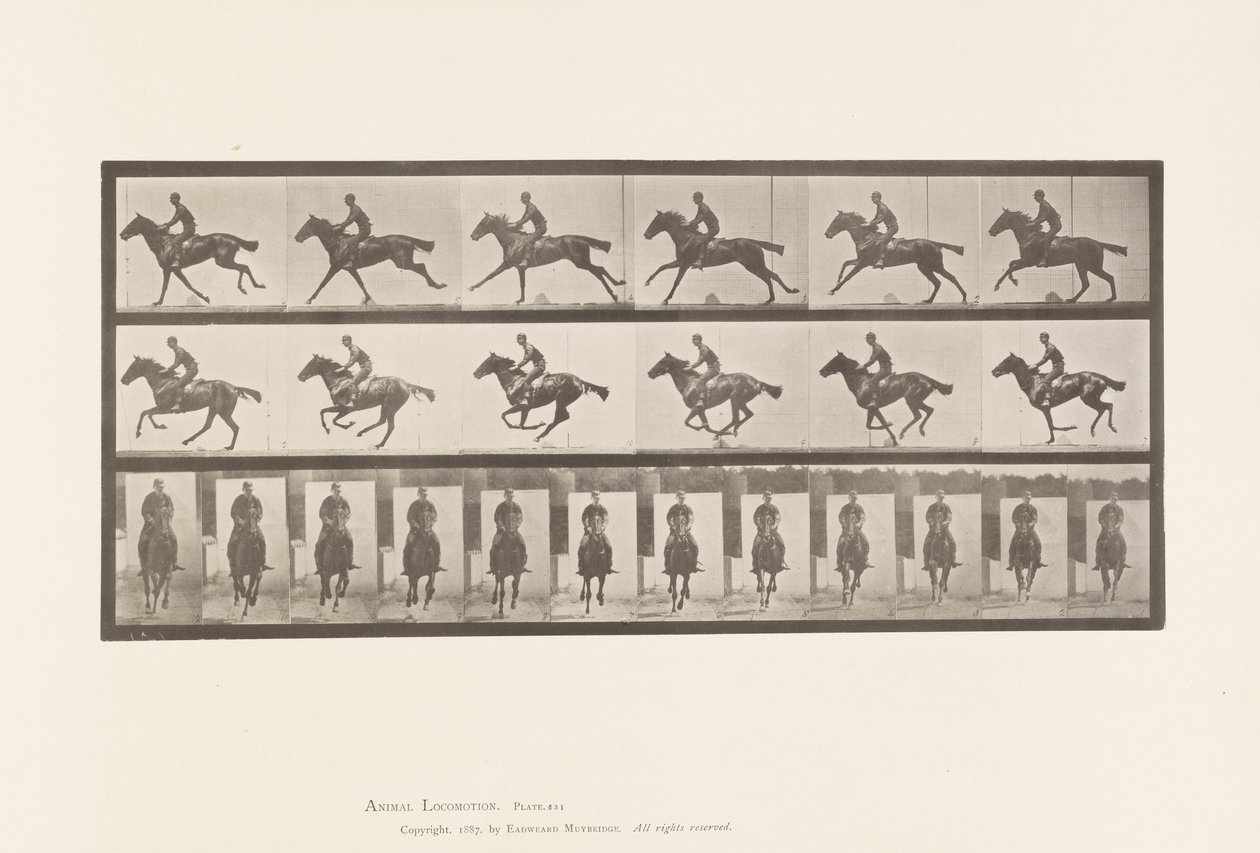 Placa 631. Galope; Silla; Caballo bayo de pura sangre Bouquet de Eadweard Muybridge
