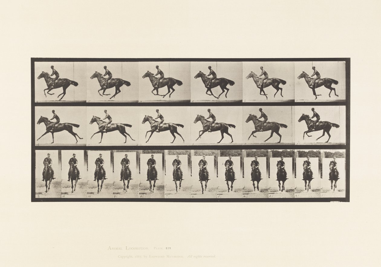 Placa 632. Galope; Silla; Caballo bayo de pura sangre Bouquet de Eadweard Muybridge