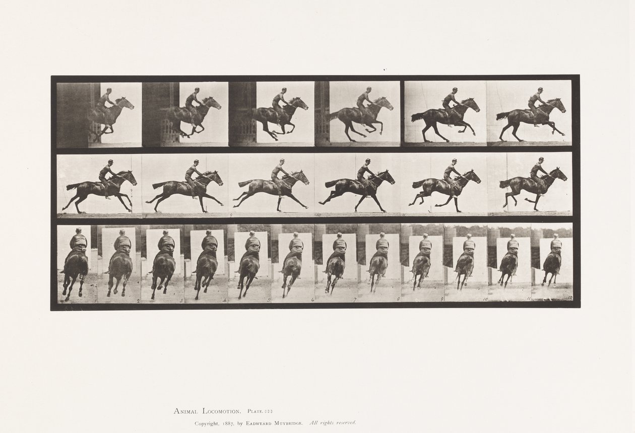 Placa 633. Galope; Silla; Caballo Pura Sangre Bay Bouquet de Eadweard Muybridge