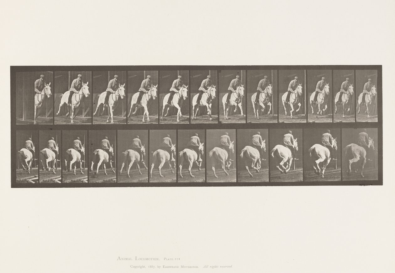 Placa 635. Galope; Silla; Yegua gris Pandora de Eadweard Muybridge