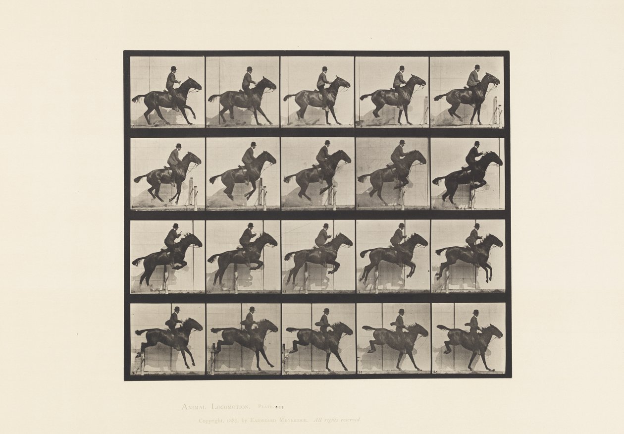 Placa 638. Saltando un obstáculo; Silla; Caballo bayo Daisy de Eadweard Muybridge