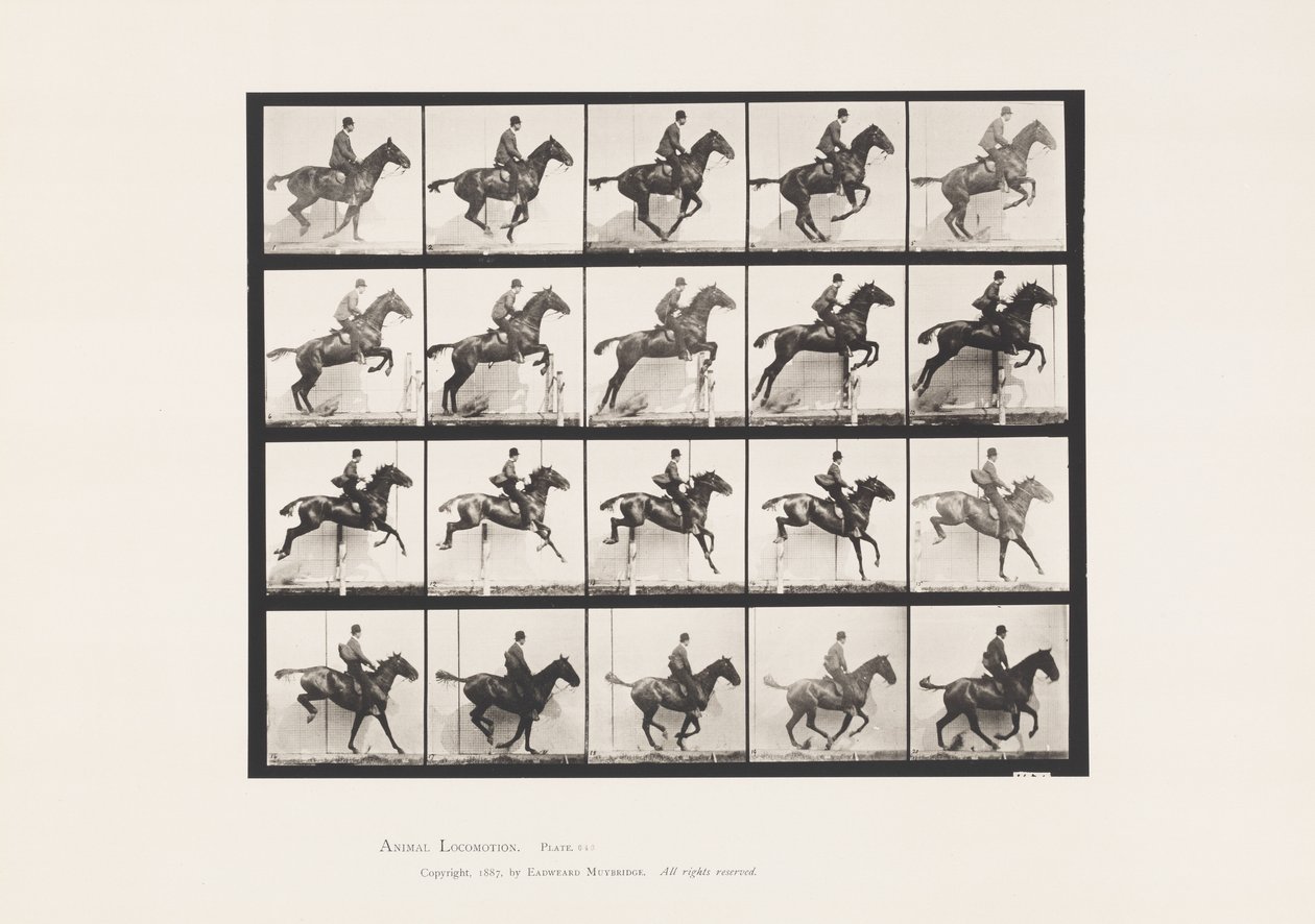 Placa 640. Saltando una valla; Silla de montar; Caballo bayo Daisy de Eadweard Muybridge