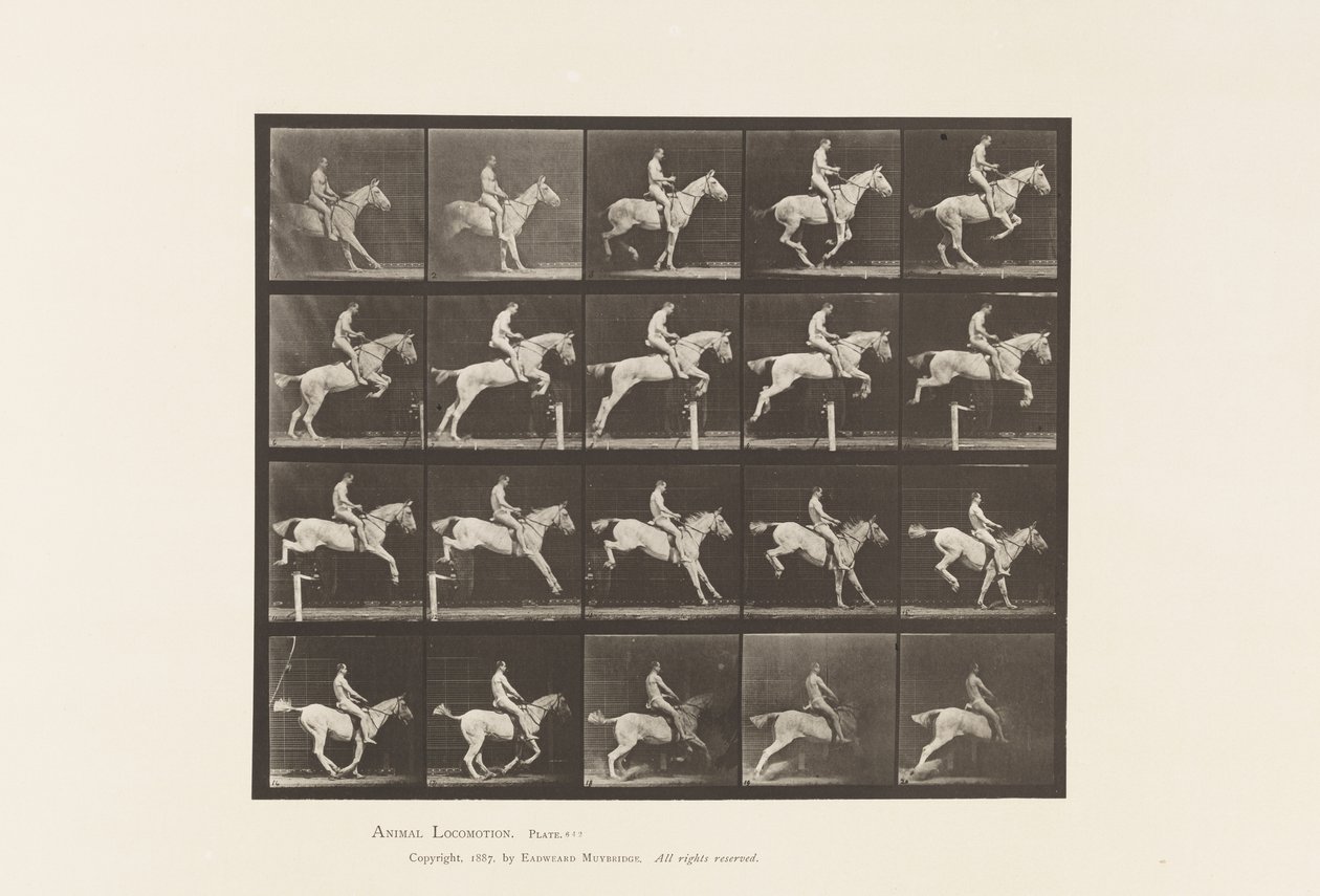 Placa 642. Saltando una valla; Silla; Jinete, 105, Desnudo; Yegua gris, 1885 de Eadweard Muybridge