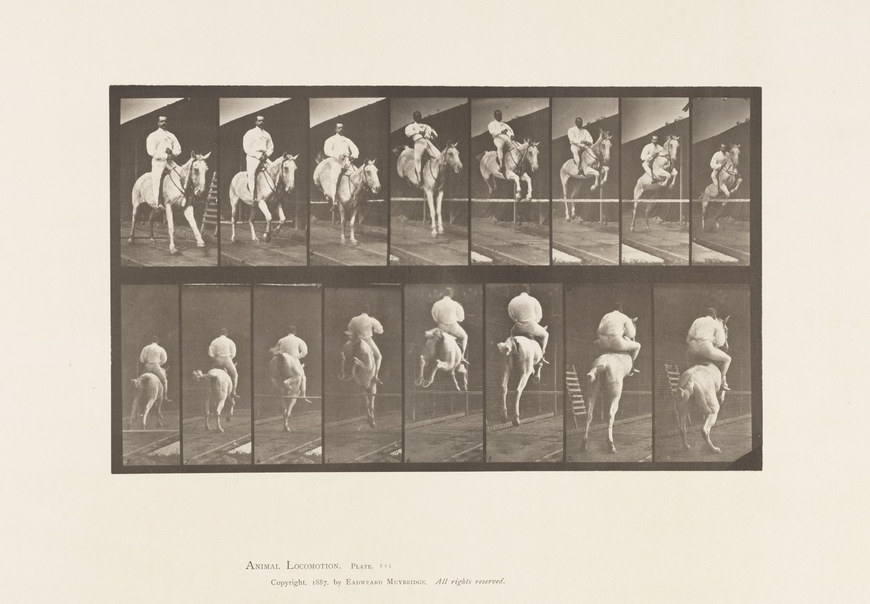 Placa 644. Saltando una Valla; Silla de Montar; Despeje y Aterrizaje de Eadweard Muybridge