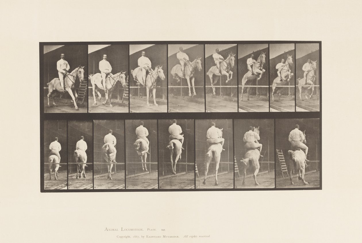 Placa 645. Saltando una valla; Silla; Despeje y aterrizaje de Eadweard Muybridge
