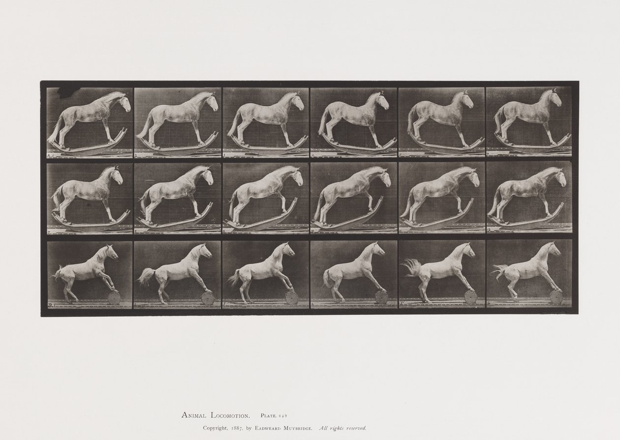 Placa 649. A, Avispa, Balanceándose; B, Águila, Rodando barril, etc. de Eadweard Muybridge