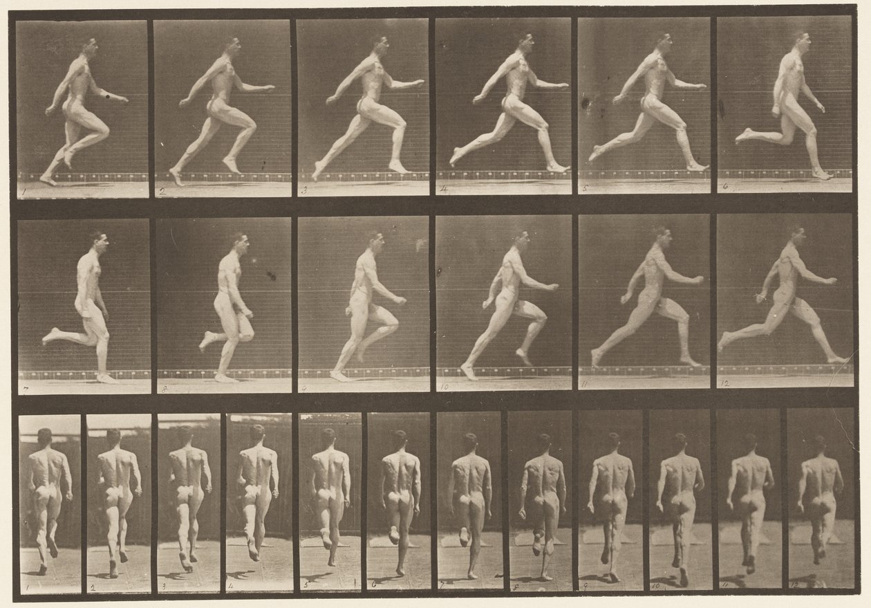Placa 64. Corriendo a toda velocidad de Eadweard Muybridge